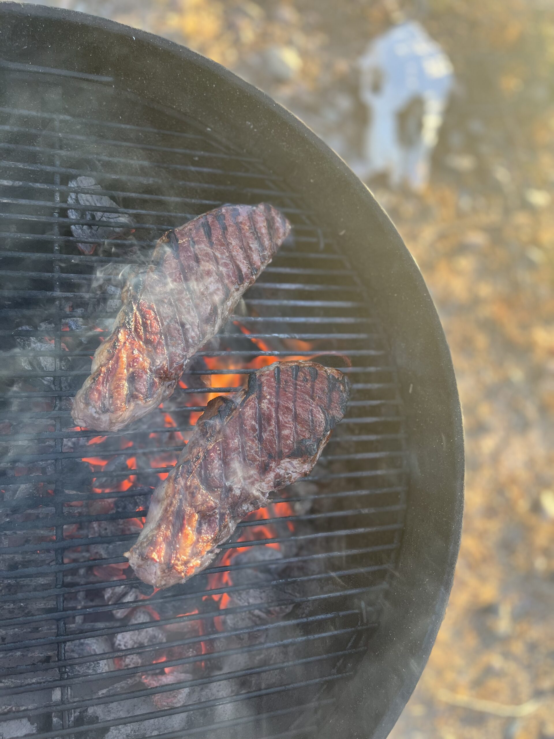 Wagyu Grass Fed New York Steak